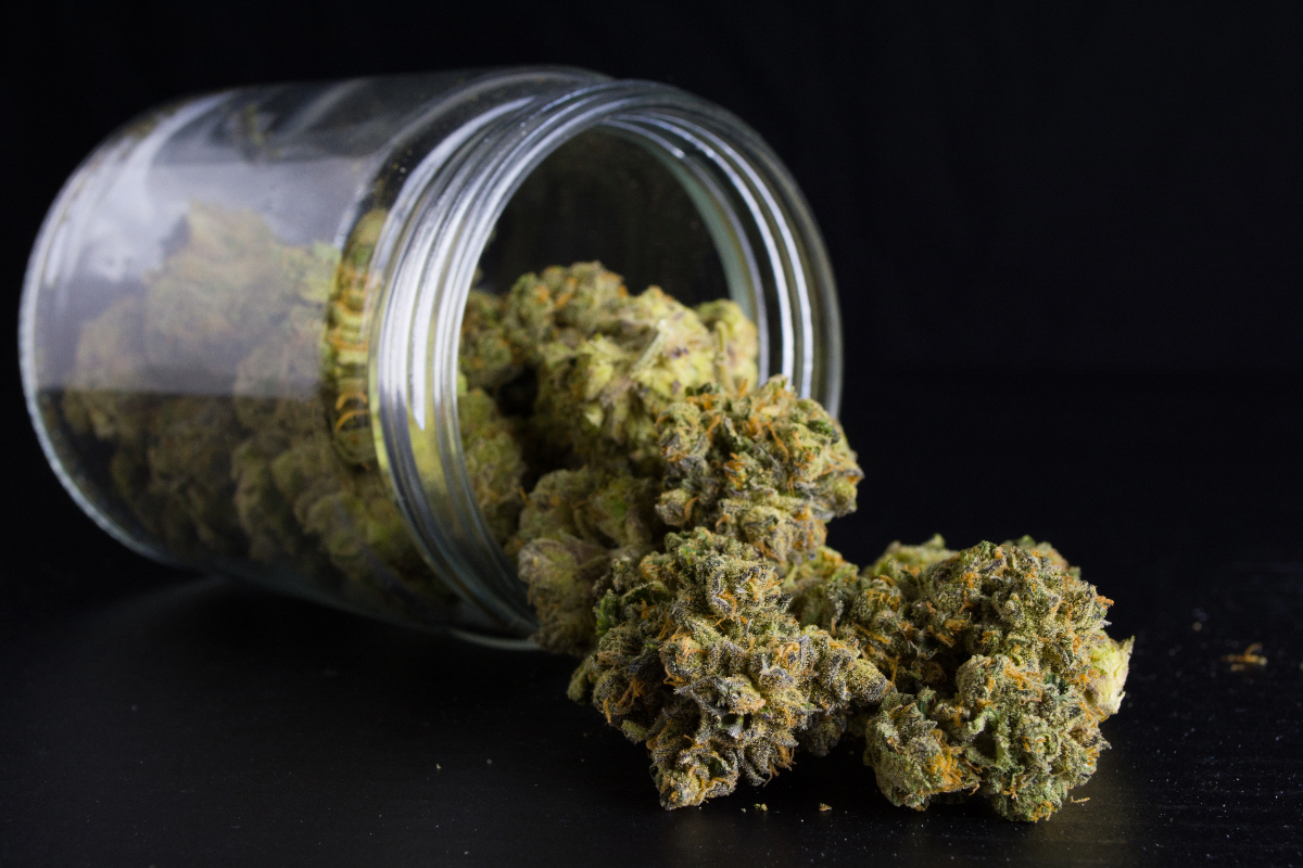 Verpasse keine Neuheiten und direkt Cannabis Samen bestellen