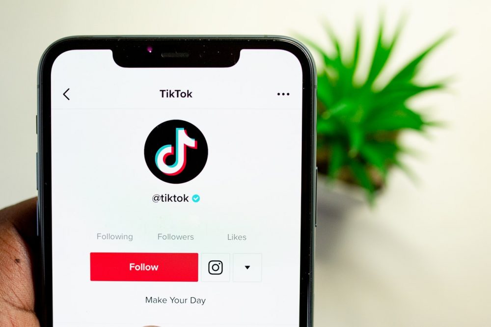 AboLöwe: Dein Partner für mehr TikTok Likes und Fans!